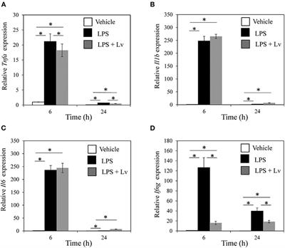 Regulation of Tumor Necrosis Factor-α by Peptide Lv in Bone Marrow Macrophages and Synovium